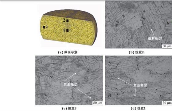 在９８０ ℃、應變速率為０．０１０s－１下壓縮至應變量為３０％后