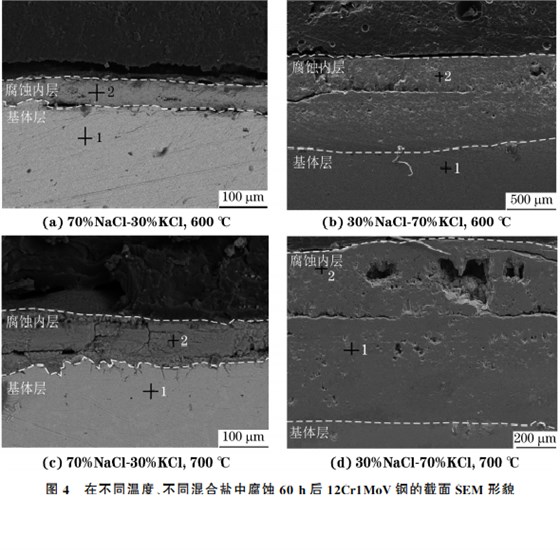 在不同溫度、不同混合鹽中腐蝕６０h后１２Cr１MoV鋼的截面SEM 形貌